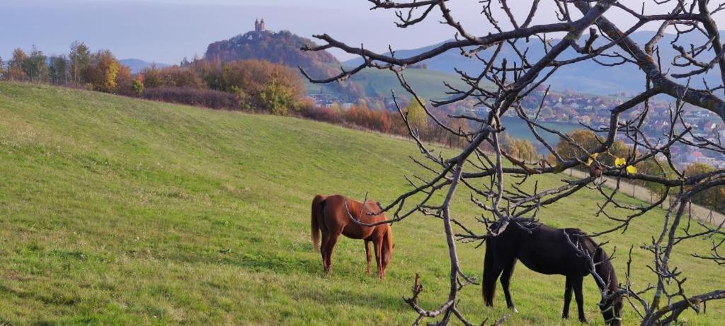 Hotel Barcadam Banská Štiavnica Buitenkant foto